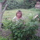 ���� ����, �����������, 51 ��� - ��������� 13 ��� 2013 � ������ ���� ����������