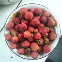  , --, 47  -  19  2013    