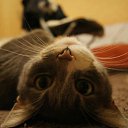 ���� ��������, ������ - ��������� 9 ��� 2012 � ������ ���� ����������