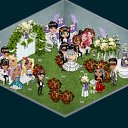 ���� ��� ���, ���������, 39 ��� - ��������� 13 ��� 2012 � ������ �Avataria�