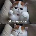 ���� �������, �����-��������� - ��������� 7 �������� 2012 � ������ ������ ��������