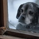 ���� �������, �����������, 63 ���� - ��������� 24 ���� 2013 � ������ ���� ����������