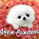 � ����� �������� ���� vk.com/fotiko