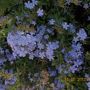 ���� ����, �����, 60 ��� - ��������� 9 ���� 2012 � ������ ��Ψ ����������� � ������ܻ