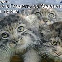 ���� Gnom, ���������, 39 ��� - ��������� 28 ������ 2010 � ������ �������� � ��������� ;-)�