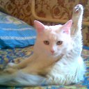 ���� ������, �����-���������, 64 ���� - ��������� 10 ������ 2010