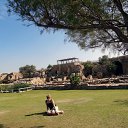 �������� �� ������� ���� ����������