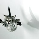 ���� *�������*, ������, 44 ���� - ��������� 1 ���� 2012 � ������ ������)�