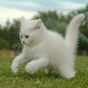 ���� ��������., ����������� - ��������� 30 ���� 2011 � ������ ���� ������� ��������.�