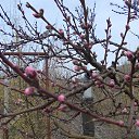 ���� Galinka)), ����������� - ��������� 8 ������ 2013 � ������ ������ ��������