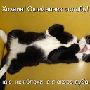 ���� Zeben, ������, 46 ��� - ��������� 10 ���� 2011 � ������ ��������� =)�