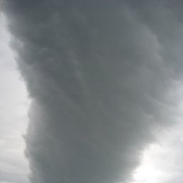 �����, ���������, 51 ���