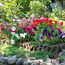 ���� �������, ��������-��-������, 68 ��� - ��������� 12 ������ 2013 � ������ ������ ��������