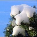  ir@ge))) ))), , 47  -  13  2011    