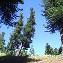 ���� �������, �����������, 61 ��� - ��������� 30 ���� 2011 � ������ ���� �����