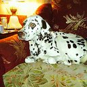  , , 60  -  1  2011   RoadKing