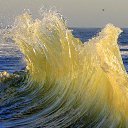 ���� ����� (�������� ������� ����), ������, 48 ��� - ��������� 25 �������� 2011 � ������ �����