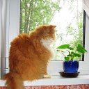 ���� �������, ������ - ��������� 22 ������ 2012 � ������ ���� �����