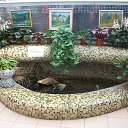 ���� ������, �����, 43 ���� - ��������� 12 ����� 2013 � ������ ���� ����������