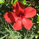 ���� ������, �������, 37 ��� - ��������� 20 �������� 2011 � ������ �������