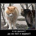 ���� ������, ��������, 32 ���� - ��������� 14 ��� 2010 � ������ ��������������