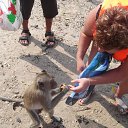 ���� �����, �����, 53 ���� - ��������� 6 ������� 2011 � ������ �� � ��