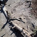 ���� ��������, ������ �������� - ��������� 2 ������� 2012 � ������ ���� ����������