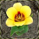 ���� ����. ��������� �� ��!, ������, 72 ���� - ��������� 15 ������ 2012 � ������ ���������