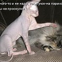 ���� ����� - ���������� ��������!!!, �����������, 56 ��� - ��������� 13 ������� 2009 � ������ ��������� ����һ