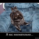 ���� ������ �����, ������, 48 ��� - ��������� 4 ���� 2010