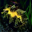 ���� ����� - ���������� ��������!!!, �����������, 56 ��� - ��������� 12 ������ 2010 � ������ ������