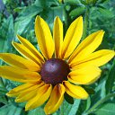  , -, 40  -  16  2011     