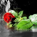 ���� ...���� ..., ������� ��������, 54 ���� - ��������� 14 ���� 2011 � ������ �����!!!�