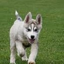 ���� "@����", �����-���������, 25 ��� - ��������� 6 ������� 2010 � ������ ��@��� �@��� �@��Ȼ