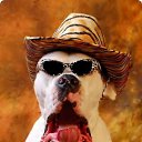 ���� ���������, ������ �����, 50 ��� - ��������� 30 ������ 2012 � ������ ���� ����������