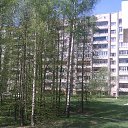 ���� ����������� ���������, ��������, 38 ��� - ��������� 19 ���� 2013 � ������ ������ ��������