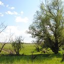 ���� ������, ������, 63 ���� - ��������� 6 ���� 2011 � ������ ��������. �����