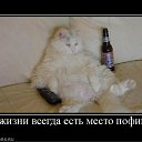 ���� �����, ������ - ��������� 6 ����� 2011 � ������ ������