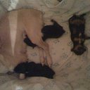 ���� ��������, ���������, 38 ��� - ��������� 24 ������� 2012 � ������ ���� ���