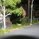 � ��� ��� ��� �������.����� ������� ������ �� ������� ���� ����������