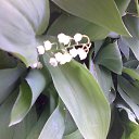 ���� Natali, ������, 67 ��� - ��������� 23 ������� 2012 � ������ �������