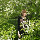 ���� ���, ������, 61 ��� - ��������� 5 ��� 2012 � ������ ���� ����������