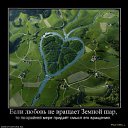 ���� ����, ���������, 39 ��� - ��������� 28 ��� 2011 � ������ ��� �� ��...�