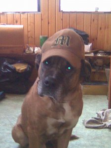 ���� ����, ������, 60 ��� - ��������� 10 �������� 2011