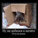 ���� ����, �����������, 51 ��� - ��������� 6 ������ 2012 � ������ ���� ����������