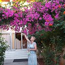 ���� ��������� �������, �����-���������, 68 ��� - ��������� 11 ���� 2013 � ������ �������