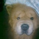 ���� ������, ������, 60 ��� - ��������� 6 �������� 2011 � ������ �����