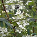 ���� ����� �������, ������, 75 ��� - ��������� 21 ������� 2013 � ������ ���� ����������