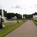 ���� ����, �����-���������, 52 ���� - ��������� 20 ������ 2010 � ������ ���� ����������