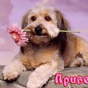 ���� �lena, �����, 56 ��� - ��������� 28 ������ 2013 � ������ ���� ����������